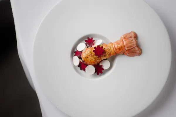 Chateau de Vignee — vue 4