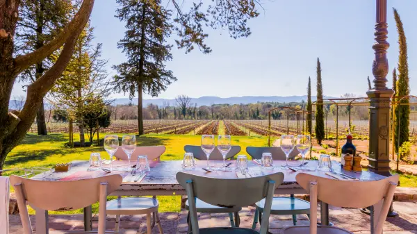 Chateau Saint Roux — vue 2