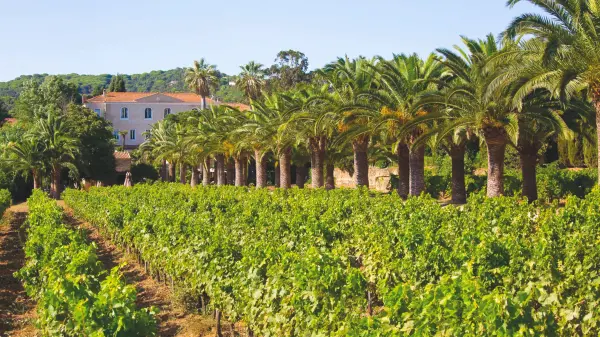 Château de Valmer — vue 4