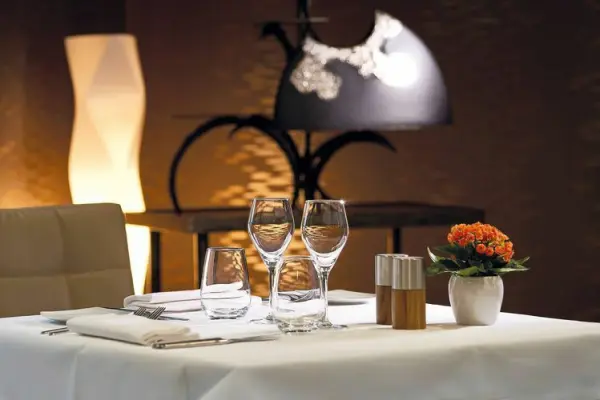 Mercure Bale Aeroport — vue 2