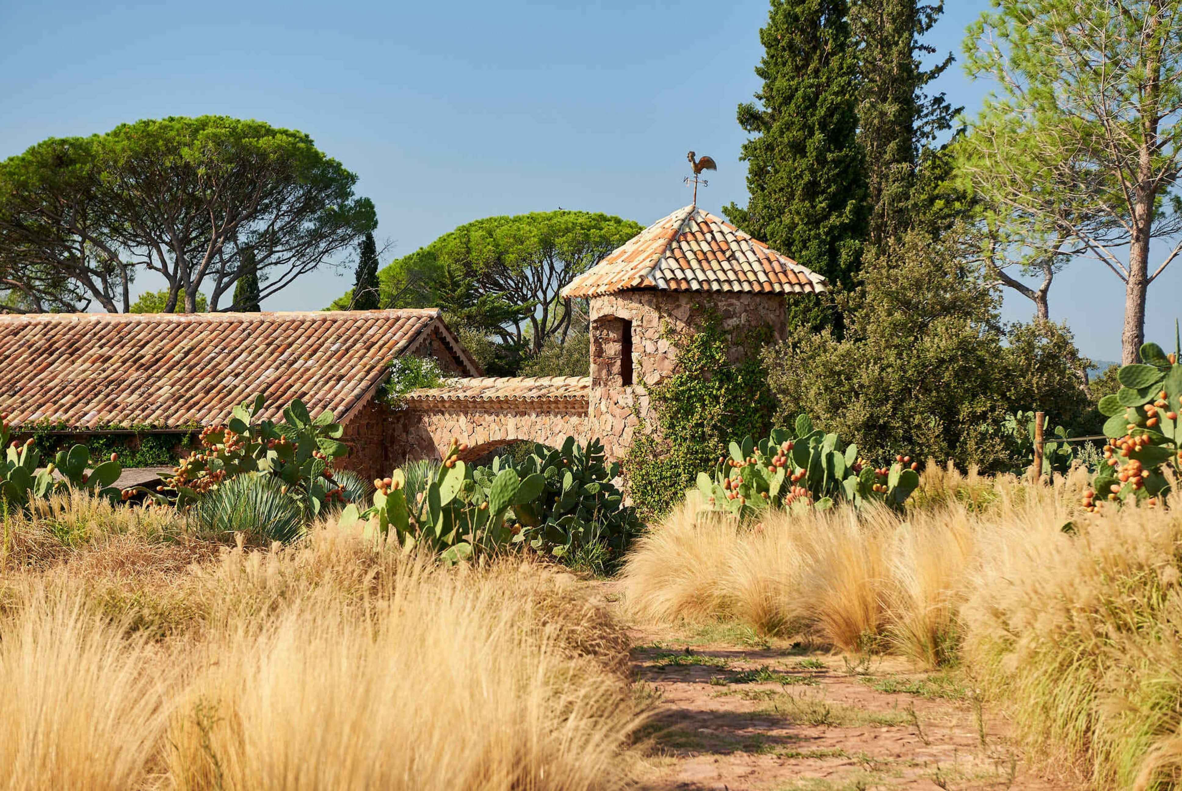 Déconnectez au Château Saint Roux !
