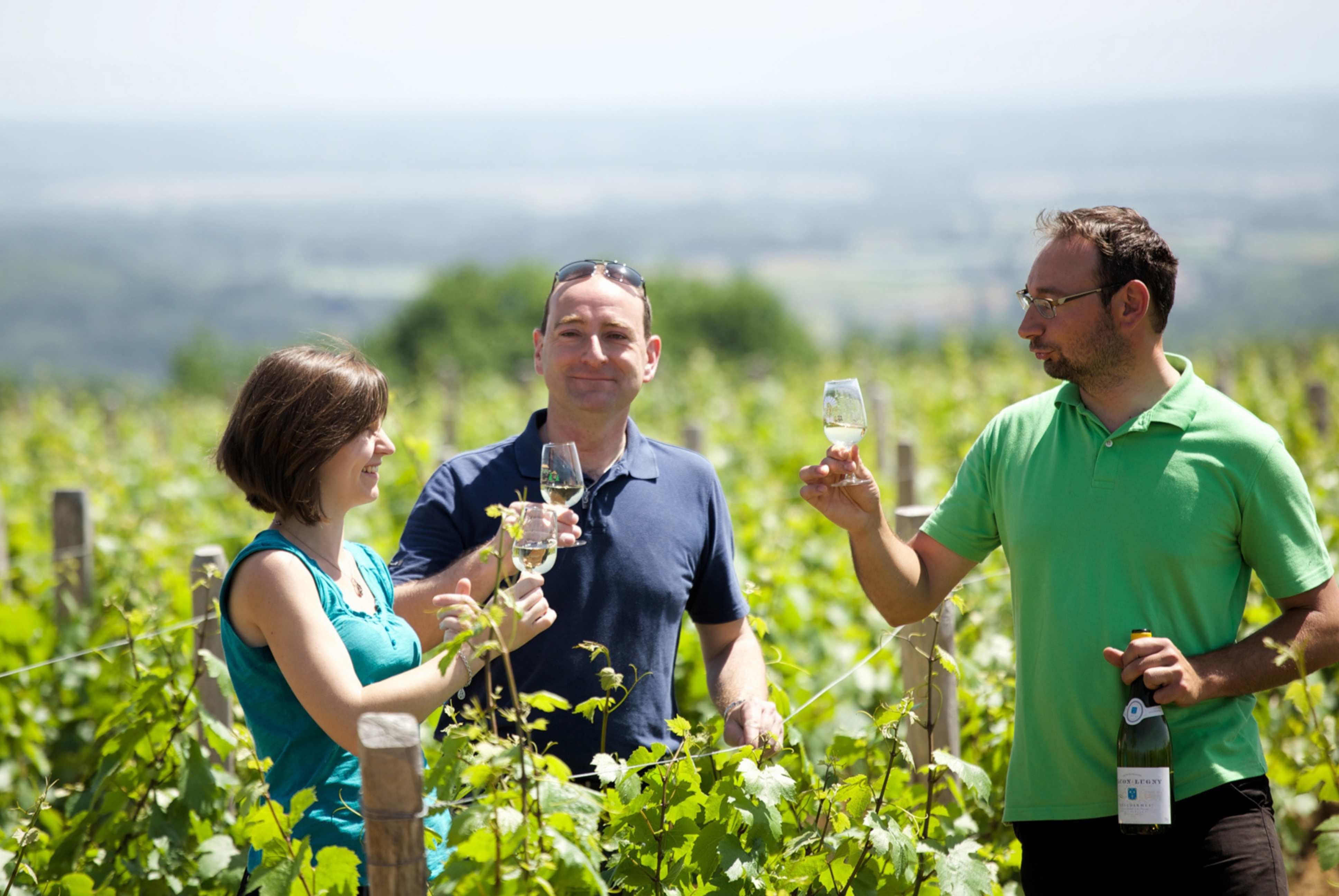Découvrir un domaine viticole perché sur les hauteurs de Lugny