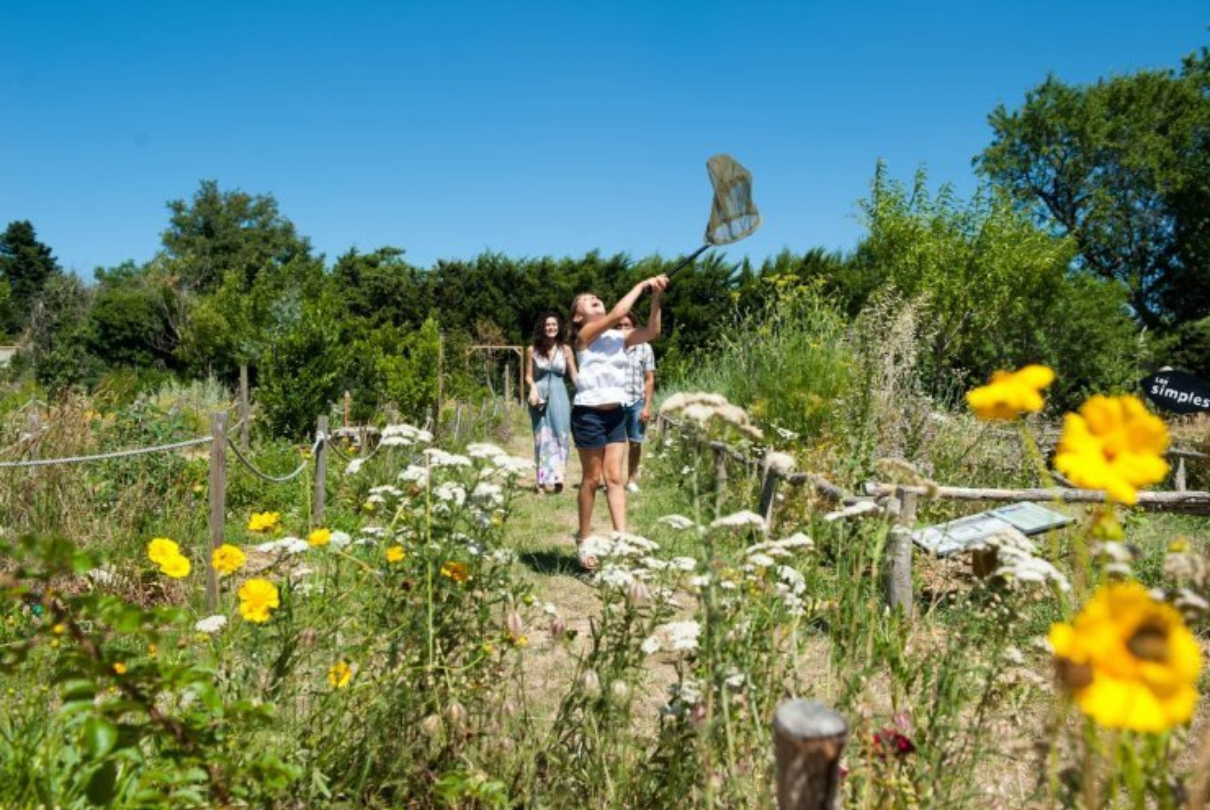 Quand Provence rime avec Romance