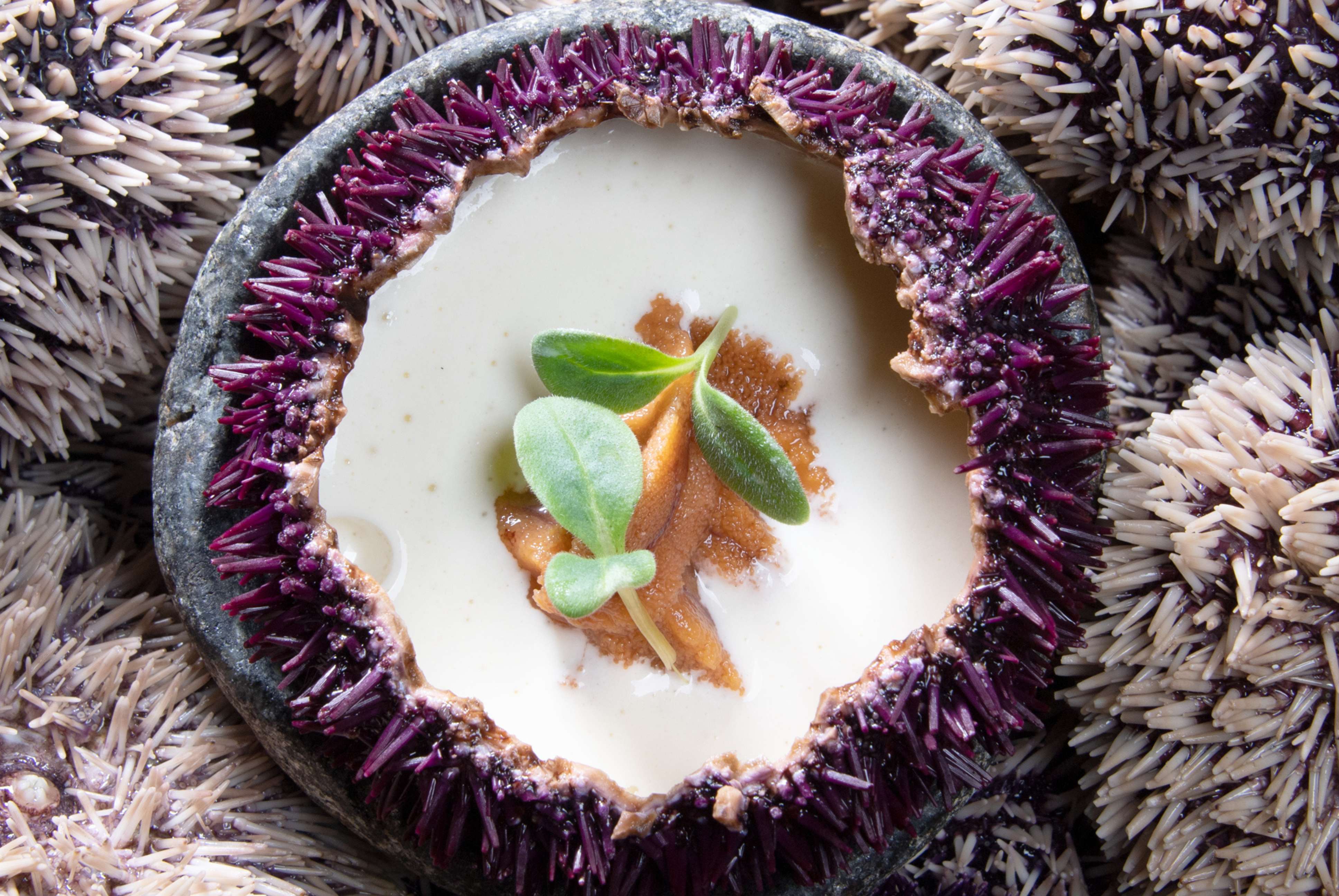 Dégustez une cuisine authentique au restaurant Le K’ozzie