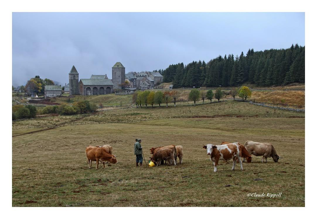 Escapade gourmande au cœur du Pays des Sucs